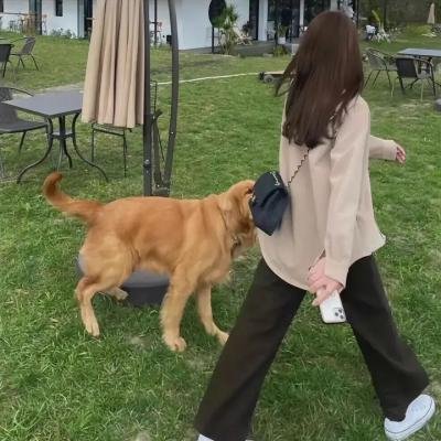 目莲救母